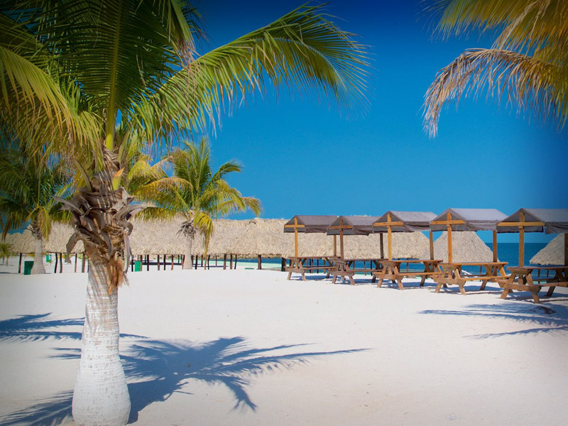 Alerta contra estafas en alquileres vacacionales.